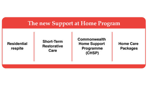 Size matters: mid-sized home care operators to be challenged as sector faces further consolidation post image