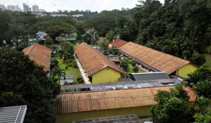 Singapore to prioritise testing of all aged care residents and staff – with staff to be housed on site or in hotels for four weeks post image