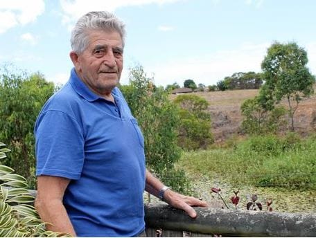 QLD retirement village resident bitten by tiger snake – after picking it up post image