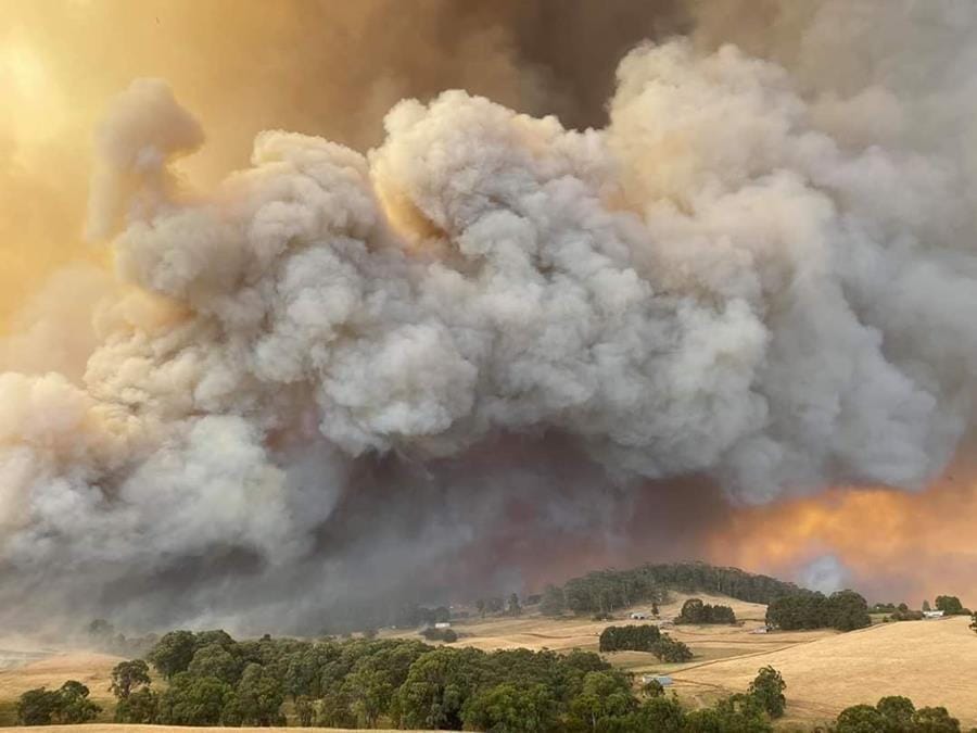 Money for aged care has gone out the window with the bushfires and NDIS… and is it time for the Royal Commission to take a new approach? post image