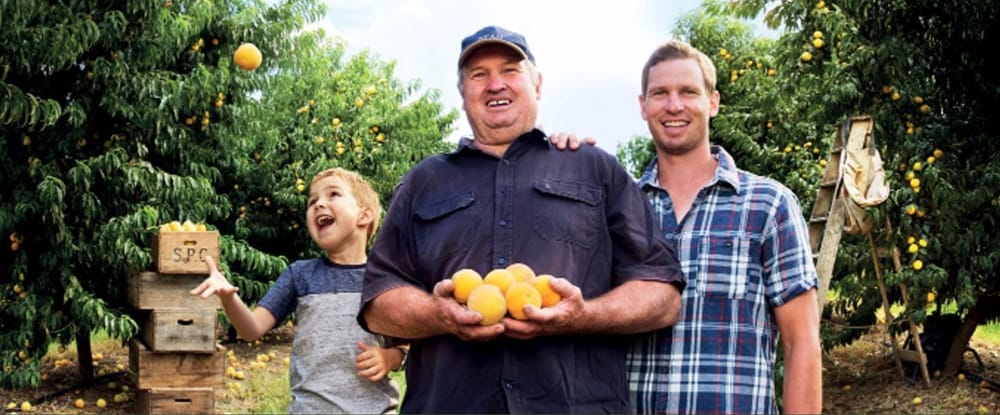 SPC launches new nutritional food company to support aged care post image