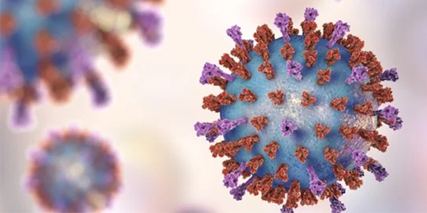 Surge in cases of respiratory syncytial virus (RSV) in Queensland aged care homes post image