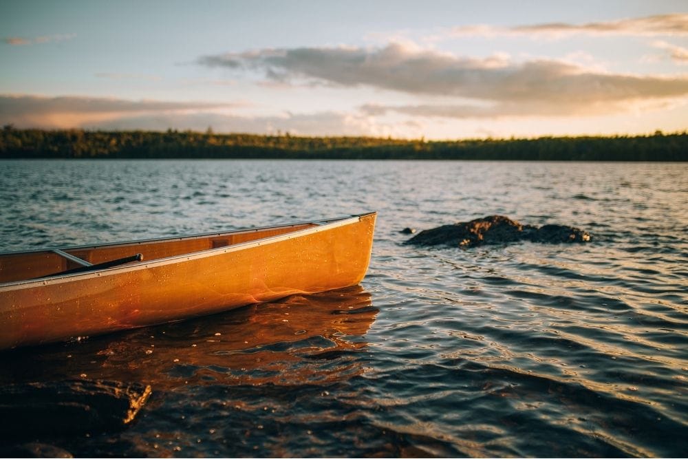 Aged care left up the creek without a paddle – will the Government come to the rescue? post image