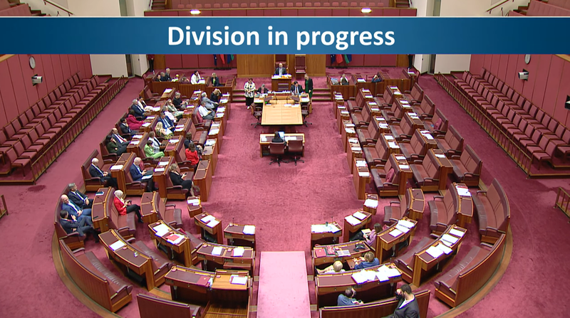Aged Care Bill 2024 passes Senate with bipartisan support after amendments post image